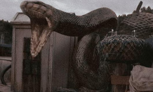 中国八三年蛇灾 中国八三年蛇灾