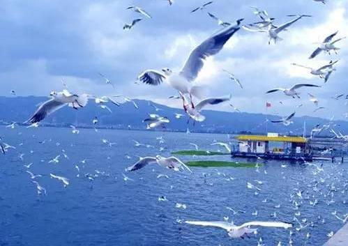 昆明有什么好玩的地方2019：受欢迎且不容错过的地方