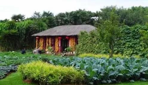 昆明有什么好玩的地方2019：受欢迎且不容错过的地方