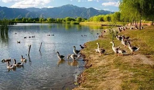 昆明有什么好玩的地方2019：受欢迎且不容错过的地方