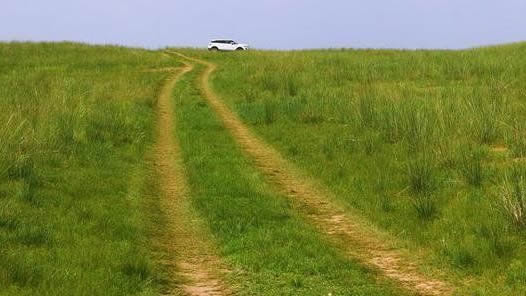 车队疯狂碾压草原:这到底是怎么回事 车队疯狂碾压草原:这到底是怎么回事