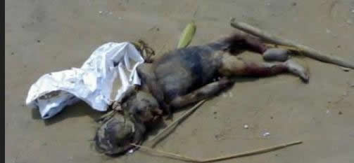 水鬼究竟是什么揭晓:水鬼图片大全 水鬼究竟是什么揭晓:水鬼图片大全