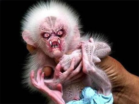 水鬼究竟是什么揭晓：水鬼图片大全