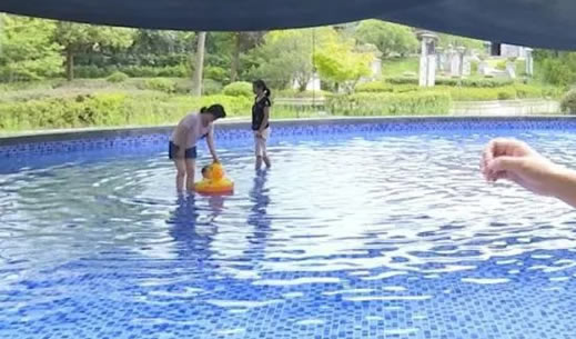 在泳池给狗洗澡怎么回事：事件始末详情让人气愤