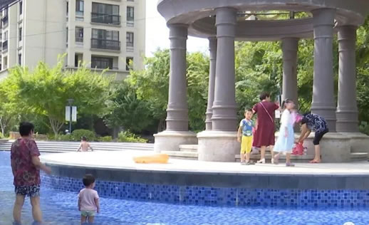 在泳池给狗洗澡怎么回事：事件始末详情让人气愤