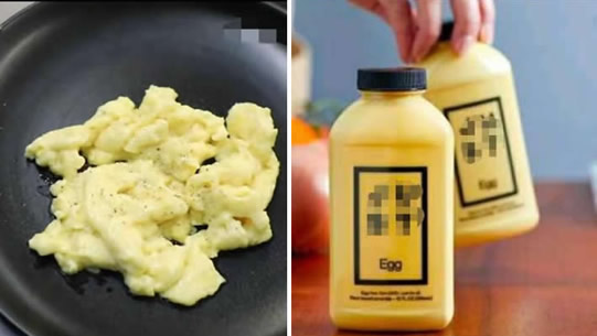 美国开售人造鸡蛋相关介绍:人造鸡蛋和真鸡蛋区别 美国开售人造鸡蛋相关介绍:人造鸡蛋和真鸡蛋区别