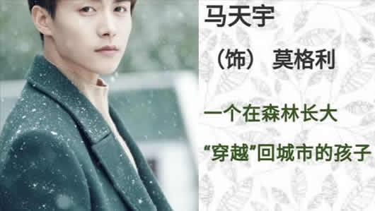 杨紫新剧宣传什么情况：说杨紫未参与新剧宣传原因详情