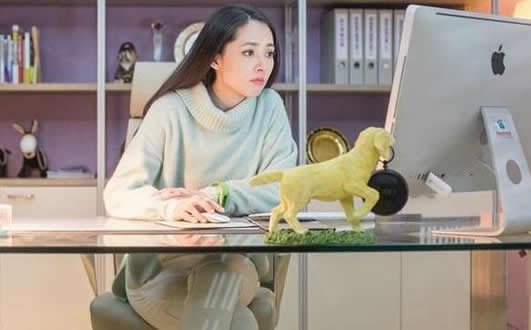 郭碧婷个人资料怎么走红的,郭碧婷演艺经历