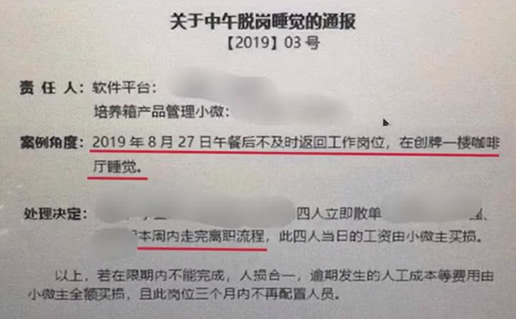 员工因午休被开除：背后原因是什么详情曝光