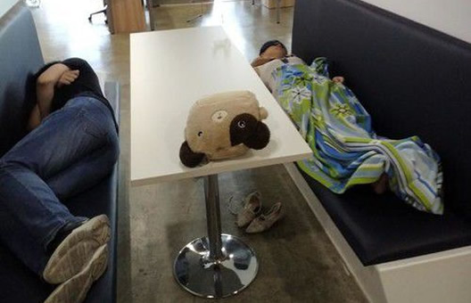 员工因午休被开除：背后原因是什么详情曝光