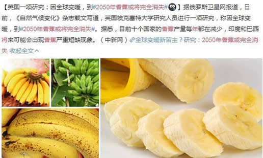 2050年香蕉或消失:好处多多的香蕉为什么会消失 2050年香蕉或消失:好处多多的香蕉为什么会消失
