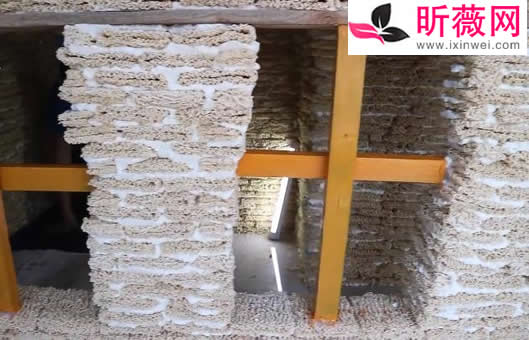 准奶爸用泡面盖房怎么回事：泡面房子什么样子的