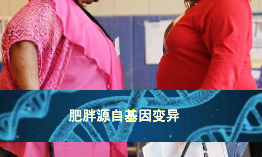 肥胖源自基因变异怎么回事:这些减肥方法你get了吗 肥胖源自基因变异怎么回事:这些减肥方法你get了吗