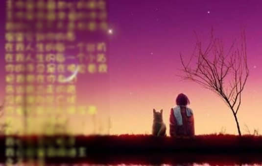 中秋节唱什么歌曲：中秋歌曲哪首最好听