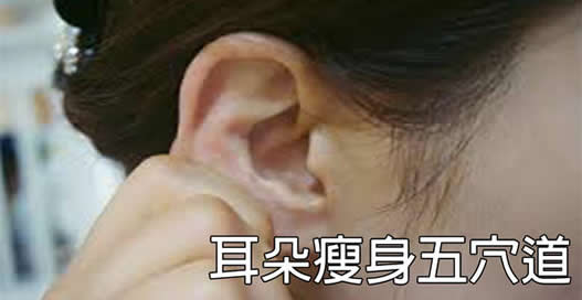 公认最消耗脂肪的10大运动(图)