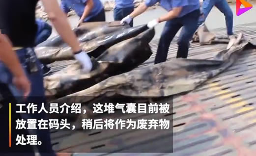 三峡水怪被打捞上岸：这到底是怎么回事