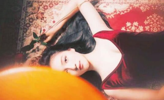 女星大闹高铁站：我是一个公众人物后续及结果