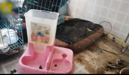 网红租房到期失联:详情画面曝光令人不忍直视 网红租房到期失联:详情画面曝光令人不忍直视