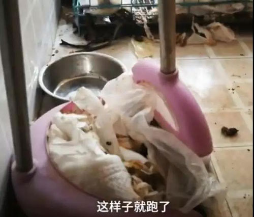 网红租房到期失联:详情画面曝光令人不忍直视 网红租房到期失联:详情画面曝光令人不忍直视