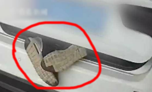 后备箱伸出两只脚什么情况:视频画面一幕惊呆了 后备箱伸出两只脚什么情况:视频画面一幕惊呆了