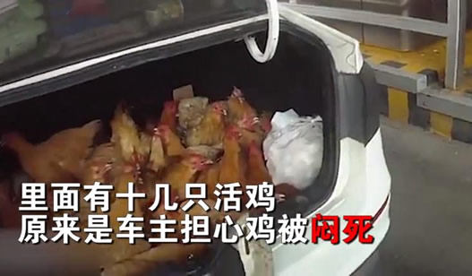 后备箱伸出两只脚什么情况:视频画面一幕惊呆了 后备箱伸出两只脚什么情况:视频画面一幕惊呆了