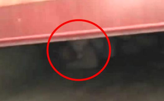 床下现隔壁女邻居：背后竟一个老赖为了躲债的故事