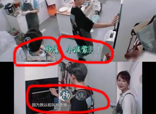 杨紫原名杨旎奥怎么回事：这十大明星原名你知道几个