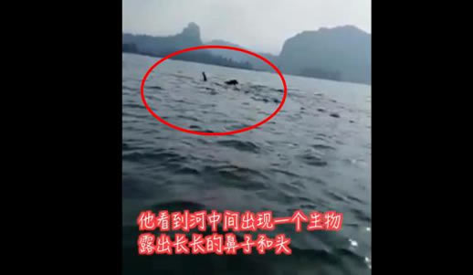 男子钓鱼见水怪:水鬼模样真容令人有点捧腹 男子钓鱼见水怪:水鬼模样真容令人有点捧腹