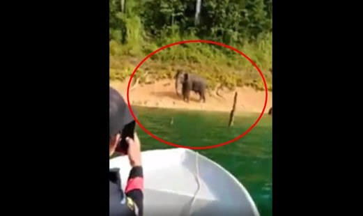 男子钓鱼见水怪:水鬼模样真容令人有点捧腹 男子钓鱼见水怪:水鬼模样真容令人有点捧腹