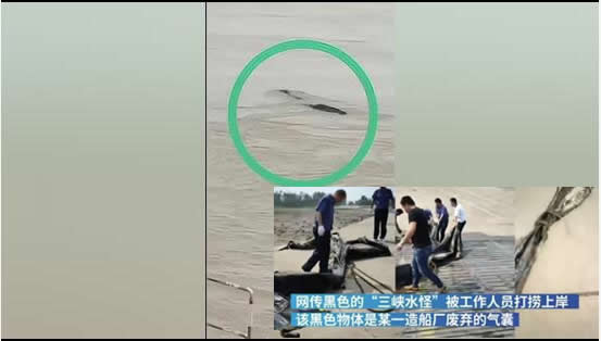 男子钓鱼见水怪:水鬼模样真容令人有点捧腹 男子钓鱼见水怪:水鬼模样真容令人有点捧腹