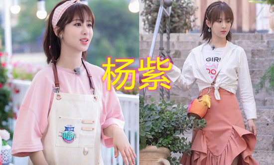 杨紫原名杨旎奥的背后故事:原来背后有这一层寓意 杨紫原名杨旎奥的背后故事:原来背后有这一层寓意