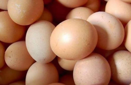 60颗鸡蛋200人分:这到底是怎么回事 60颗鸡蛋200人分:这到底是怎么回事