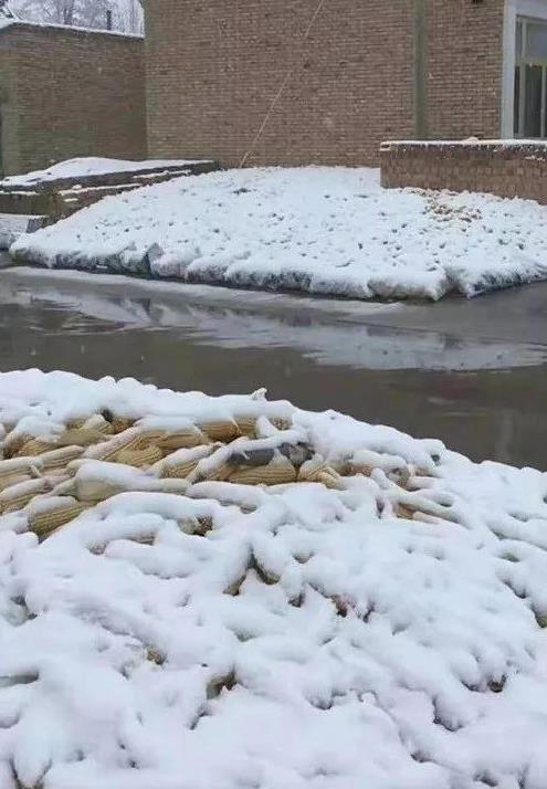 游客裹被子玩耍怎么回事:原因及画面令人惊呆 游客裹被子玩耍怎么回事:原因及画面令人惊呆