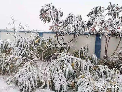 游客裹被子玩耍怎么回事:原因及画面令人惊呆 游客裹被子玩耍怎么回事:原因及画面令人惊呆