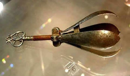 开花梨做什么用的：开花梨欧洲的一种刑具