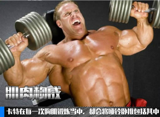 马库斯·罗西尔世界最强壮的人？看图就被震撼到了