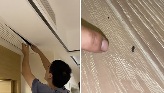 空调传出诡异尖叫：这到底是怎么回事