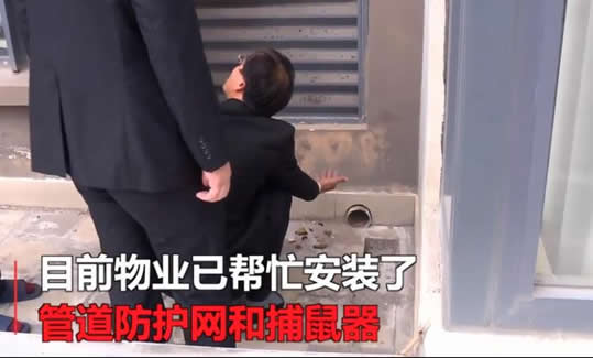 空调传出诡异尖叫：这到底是怎么回事