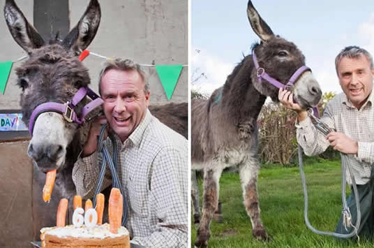 史上最高龄驴大寿:驴60岁破吉尼斯被网友羡慕 史上最高龄驴大寿:驴60岁破吉尼斯被网友羡慕