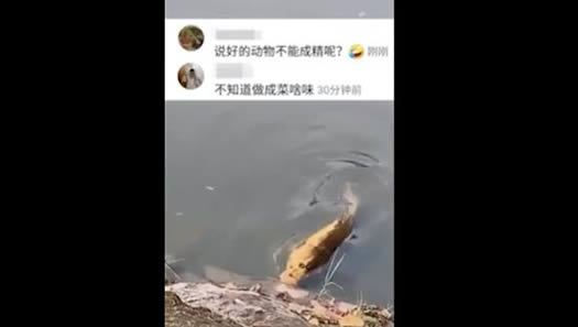 云南惊现人脸锦怎么回事：视频画面曝光令人惊呼不已