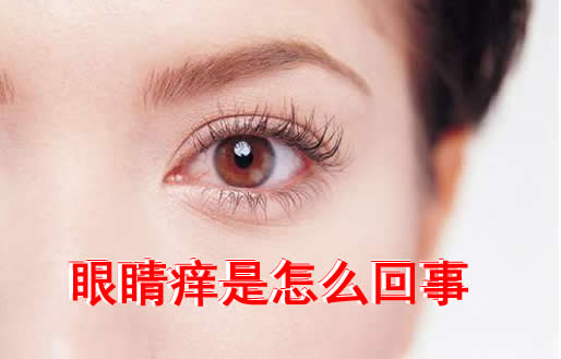眼睛痒是怎么回事：关于眼睛痒的这几个原因要懂