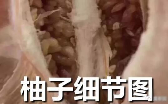 1118是什么意思？1118视频是什么你懂吗？
