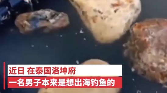 捡石头价值近百万：什么样的石头揭晓网友表示天上馅饼