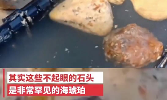 捡石头价值近百万：什么样的石头揭晓网友表示天上馅饼