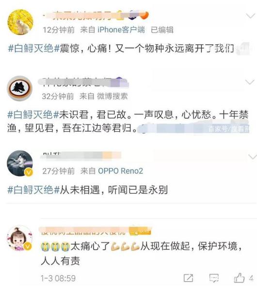 长江特有物种灭绝：了解真相后令人心痛