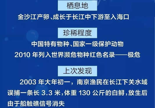 长江特有物种灭绝：了解真相后令人心痛