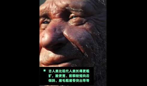 颜值低被进化淘汰:原来爱美是天性也是遗传啊 颜值低被进化淘汰:原来爱美是天性也是遗传啊