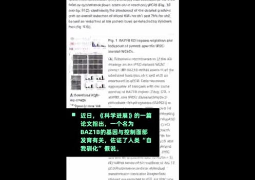 颜值低被进化淘汰:原来爱美是天性也是遗传啊 颜值低被进化淘汰:原来爱美是天性也是遗传啊