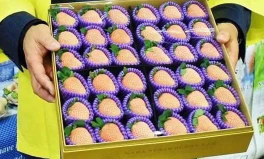 日本一颗草莓900元：高价的还有西瓜、螃蟹和牛