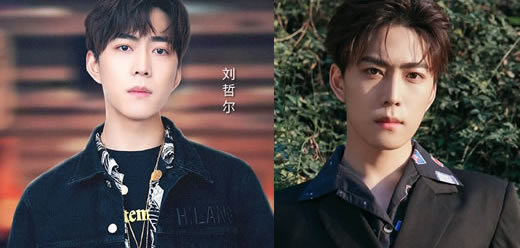 刘哲尔身高年龄及个人资料：刘哲尔与赵薇的关系